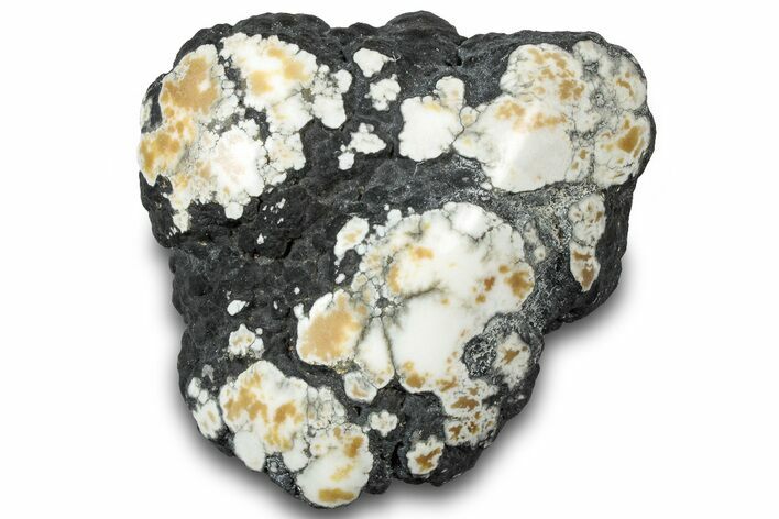 Polished Tick Canyon Howlite Nodule - California #321215